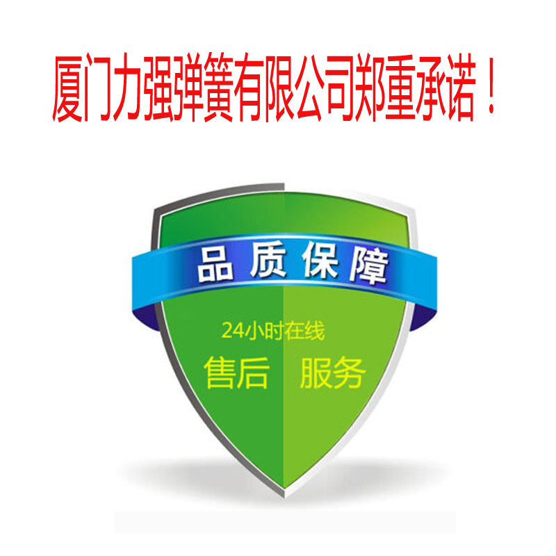 廠家加工各種規(guī)格雙扭彈簧 不銹鋼扭力彈簧定做 五金彈簧規(guī)格示例圖15