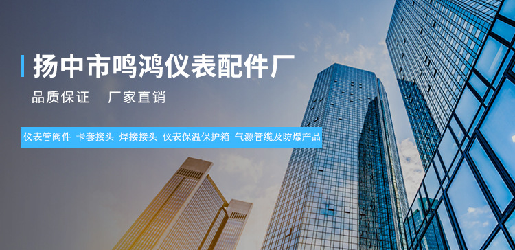 廠家直銷針型閥 精密對焊針型閥 常溫常壓手動不銹鋼針閥 可定制示例圖14