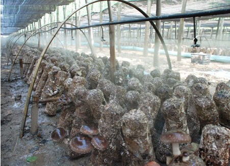 批發 pe32mm穿線管 pe電力給水排水管 pe塑料穿線管子定制示例圖16
