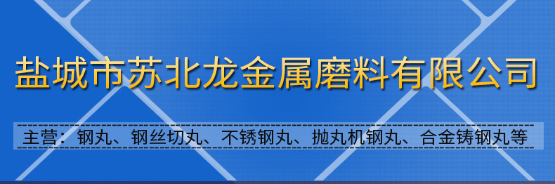 G16 合金鑄鋼砂 優質無塵鋼砂 棱角砂 拋丸噴砂金屬磨料批價供應示例圖2