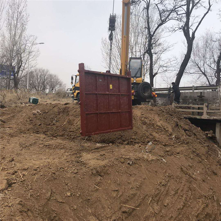 鑄鐵鑲銅雙止水閘門 水渠鑄鐵閘門  各種通風(fēng)蝶閥閘門 