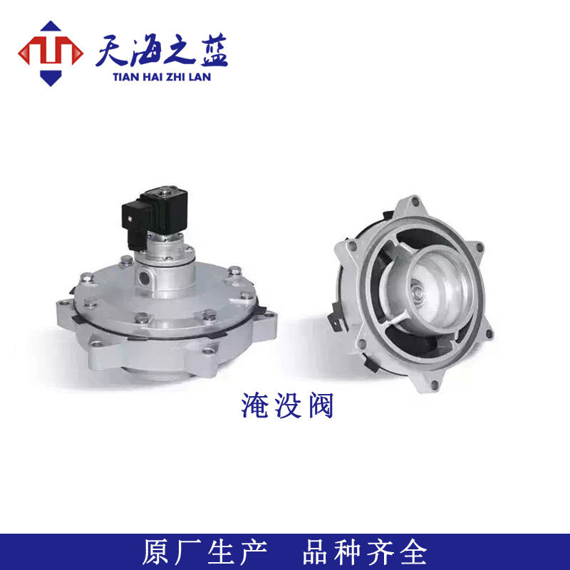 專業(yè)生產(chǎn)脈沖閥除塵器配件 電磁閥淹沒式脈沖閥 除塵脈沖電磁閥示例圖3