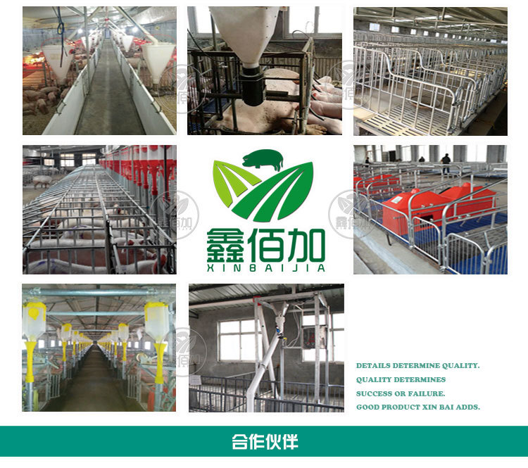 詳情頁通用模板A (3).jpg