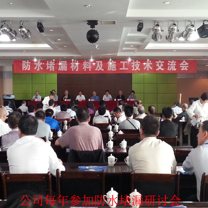 自己做防水  防水  補(bǔ)漏  方便 快捷   自粘 丁基膠帶示例圖11