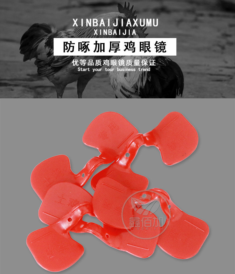 雞眼鏡AB詳情頁(yè) (1).jpg