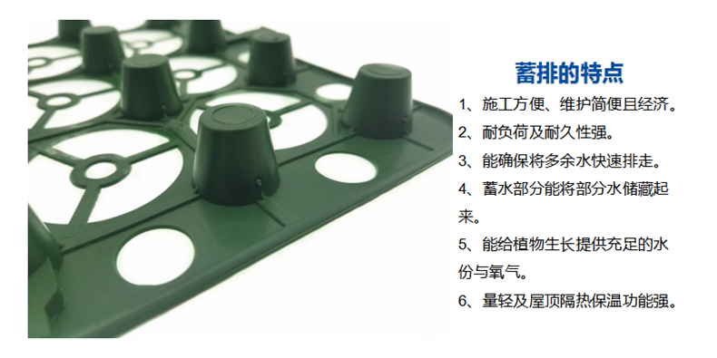 蓄水排水板廠家直銷 樓頂花園拼接型蓄水排水板廠家批發(fā)價(jià)格示例圖8