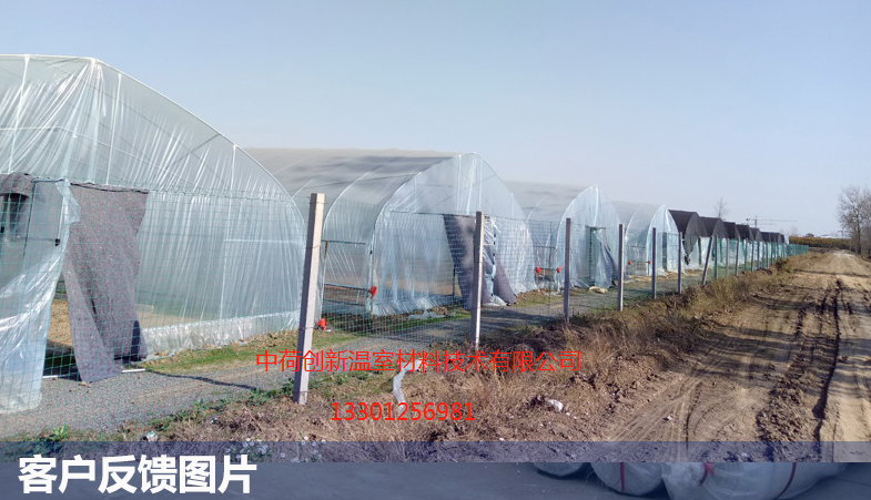 膜3.png