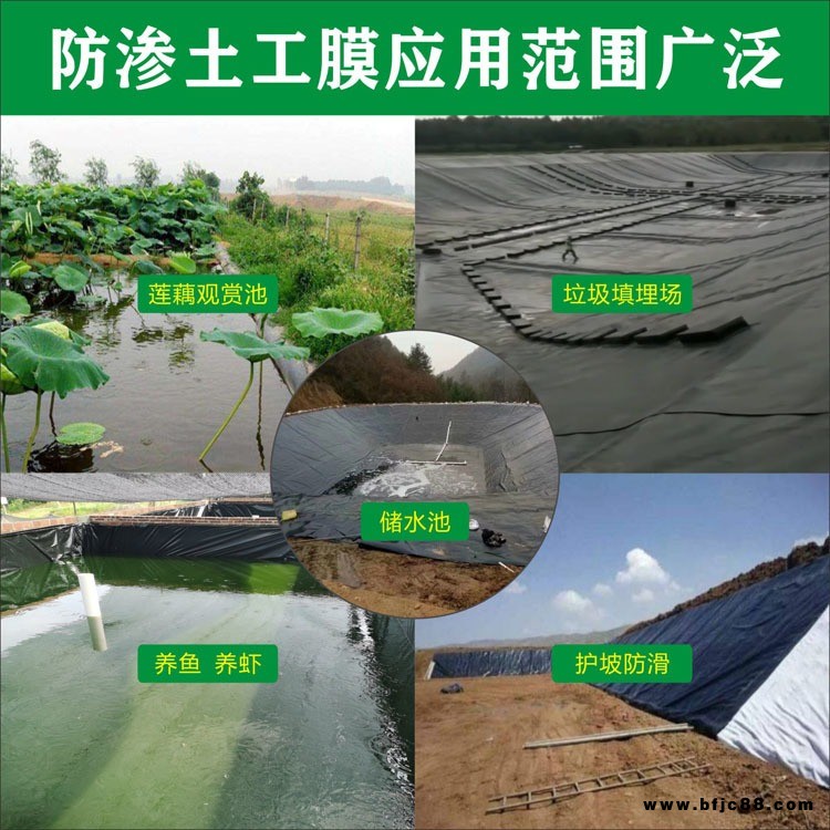 土工膜復(fù)合土工膜防滲土工布水產(chǎn)養(yǎng)殖膜HDPE膜兩布一膜一布一膜潤澤廠家量大價優(yōu)