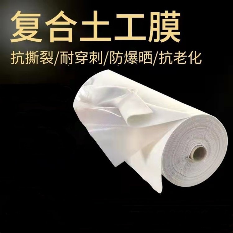 土工膜防水防滲膜人工湖魚塘魚池河道護坡塑料膜復(fù)合一布兩布一膜潤澤批發(fā)