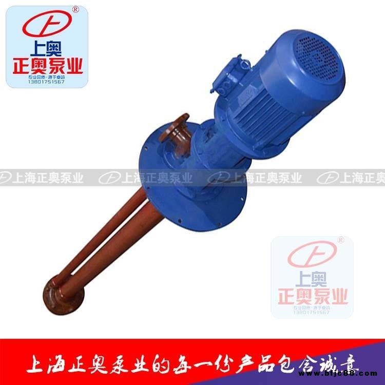 上海液下泵正奧泵業(yè)WSY、FSY型玻璃鋼液下泵