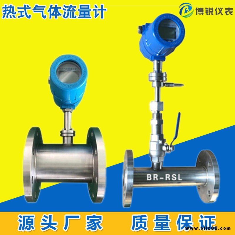熱式氣體質量流量計 插入式管道式壓縮空氣等氣體流量計 博銳BR-RSL智能數顯熱式氣體流量計Z