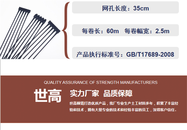 單向塑料土工格柵廠家批發 單向塑料格柵廠家直銷 歡迎來電示例圖4