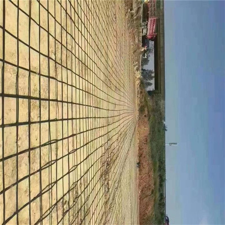 湖北鋼塑格柵廠家  GSZ土工格柵現(xiàn)貨采購GSZ80鋼塑格柵