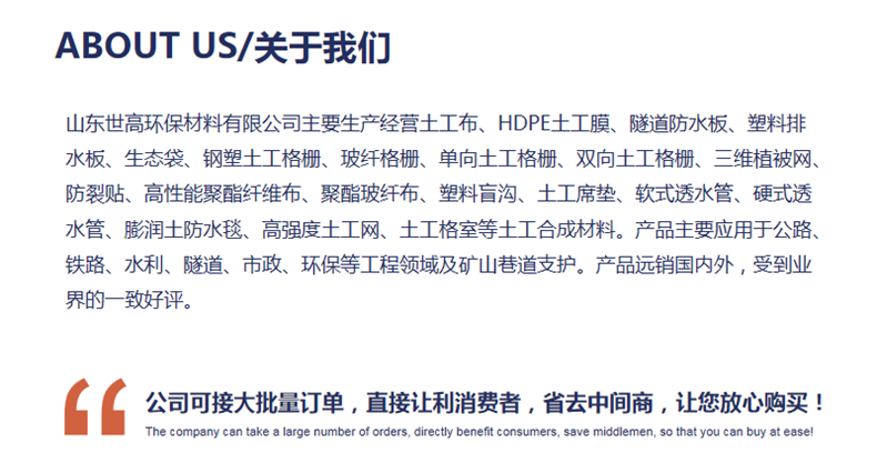 鋼塑土工格柵廠家批發價格 路基加固雙向鋼塑格柵廠家直銷示例圖13