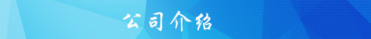 定制單柱雙柱鋁合金式升降機多柱鋁合金升降機升降貨梯高空升降梯示例圖1