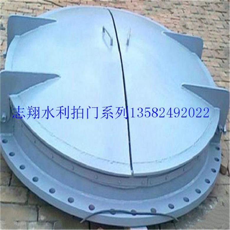 玻璃鋼拍門 玻璃鋼拍門 不銹鋼浮箱拍門供貨廠家